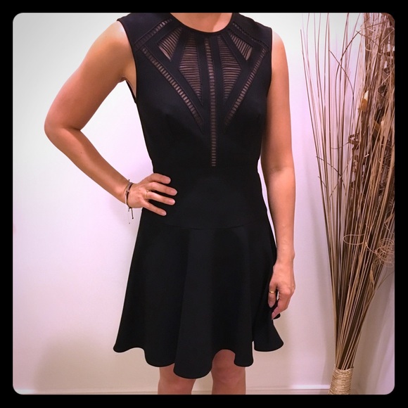 BCBG Skater Dress - Picture 1 of 4